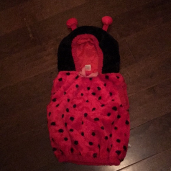 Other - Lady bug coverup